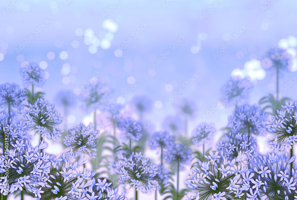 Obraz premium アガパンサスとキラキラした背景