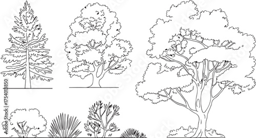 Black and white illustration of various trees and bushes, showcasing different species and foliage types in a natural landscape setting