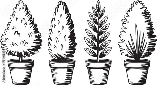 A collection of four potted topiary plants, each with unique shapes and foliage, , showcases the art of botanical sculpture and design