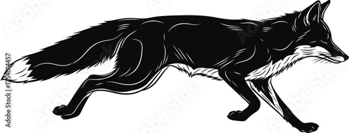 Stylish Black Fox Running Illustration Wild Animal Graphic Design Element