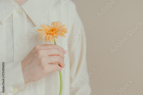 1輪のガーベラを持つ女性の手