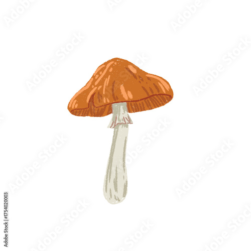 Mushroom with Orange Cap Vector Whimsical Hand-Drawn Clipart
