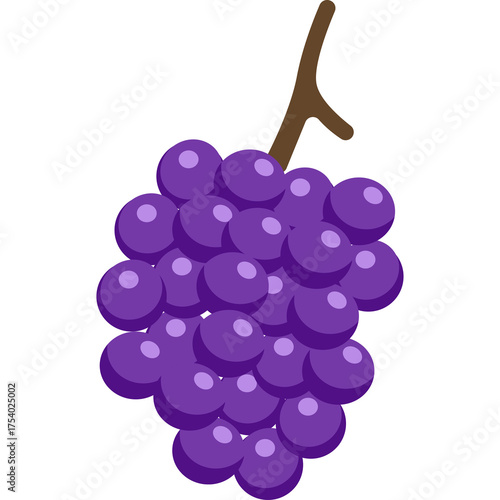 Purple Grapes Bunch on Stem Minimalist Line Art Style Illustration Isolated on Transparent Background Simple Organic Fruit Graphic