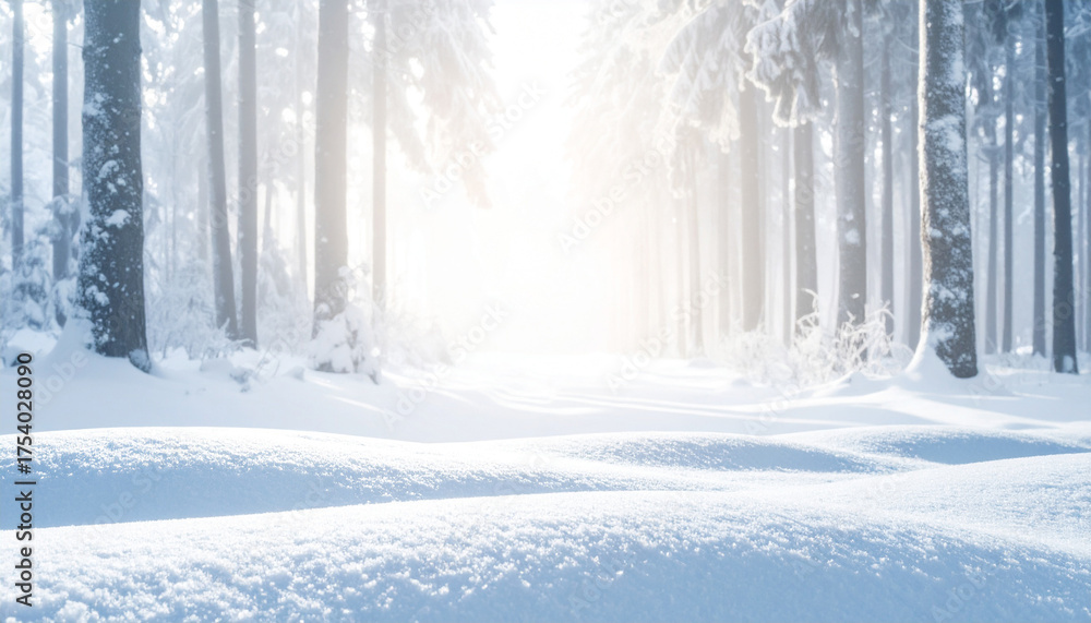 Naklejka premium Winter wonderland forest scene with snow and sunlight.