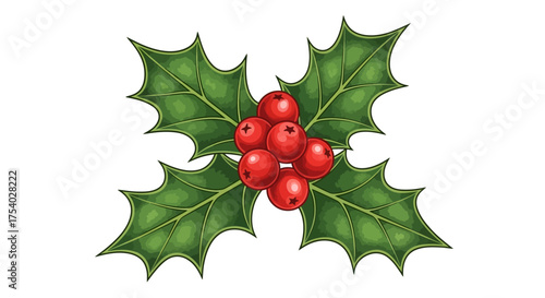 christmas holly and red berries