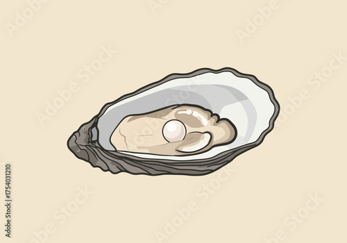 Open Oyster with Pearl Inside Seafood Illustration.