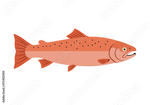 Illustration of a Salmon Fish with Distinctive Spots.