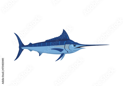 Blue Marlin Fish with Long Bill and Dorsal Fin.
