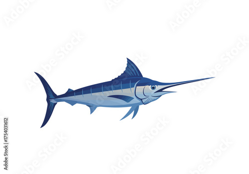 Illustration of a Blue Marlin with a Long Bill.
