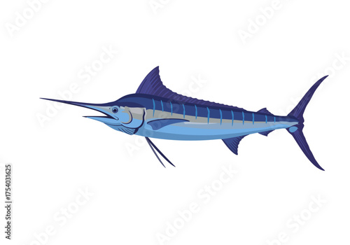 Illustration of a Blue Marlin with Spear-like Bill.