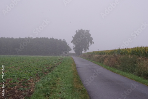 Hirsch, Reh und Natur 