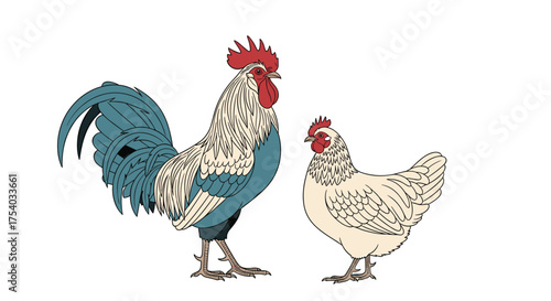 A detailed illustration of a vibrant rooster standing next to a plump hen.