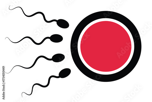 Illustration of sperm cells approaching an egg cell, representing fertilization, reproduction, and the beginning of life on transparent background