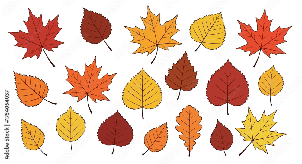 Obraz premium Collection of colorful autumn leaves in various shapes and sizes, isolated on white background.