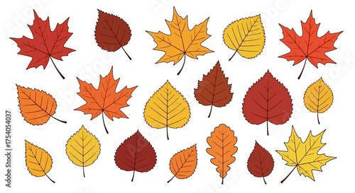 Collection of colorful autumn leaves in various shapes and sizes, isolated on white background.
