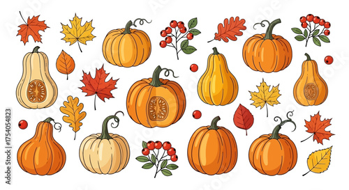 Collection of various pumpkins, gourds, leaves, and berries, perfect for autumn and harvest season.
