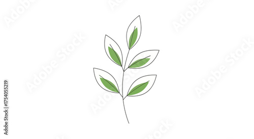 A simple line drawing of a plant stem with green and white leaves.