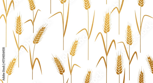Illustration of golden wheat stalks on a white background.