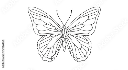 Detailed line art illustration of a graceful butterfly with intricate wing patterns, perfect for coloring books, educational materials, and various design projects
