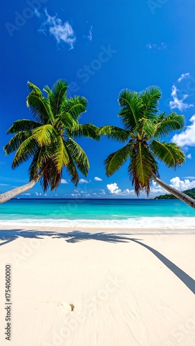 Two leaning palm trees frame pristine white sand and turquoise ocean