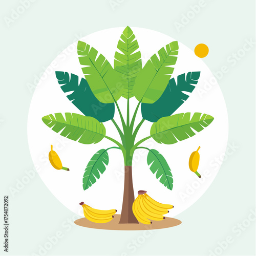A serene illustration of a banana tree with ripe bananas on the ground and hanging from its branches in a sunny environment viewed from the front