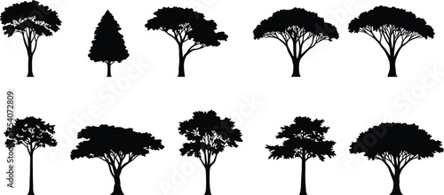 Black tropical tree silhouette collection isolated on white background, acacia and jungle tree vector illustration for landscape, nature, and design projects