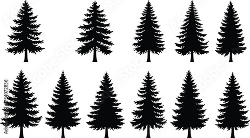Black pine tree silhouette collection isolated on white background, evergreen conifer forest vector illustration for landscape, nature, and design projects