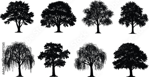Black tree silhouette collection isolated on white background, detailed natural forest shapes, vector illustration for design, landscape, ecology, and environment concepts