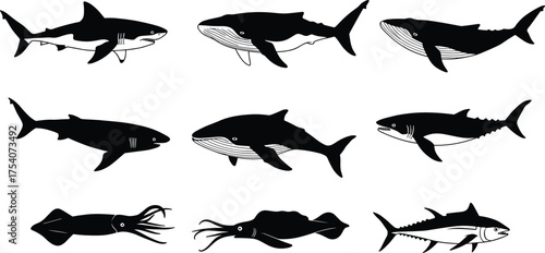 Marine animal silhouettes collection, shark whale squid tuna vector set, ocean wildlife illustration, black sea creatures design, aquatic nature elements