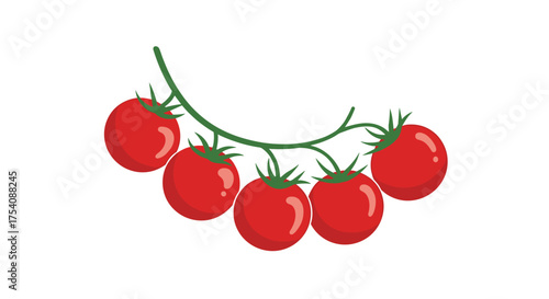 Fresh vine ripened tomatoes on a vine ready for harvest.