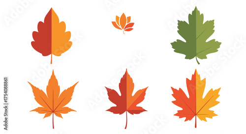 Collection of colorful autumn leaves in flat design.