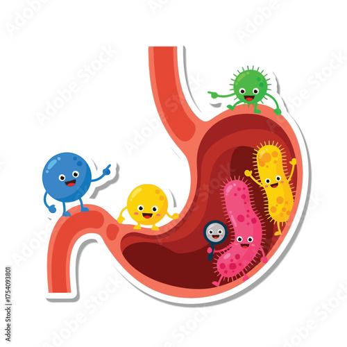 Cartoon stomach illustration with happy bacteria characters inside, showcasing gut health and digestion.
