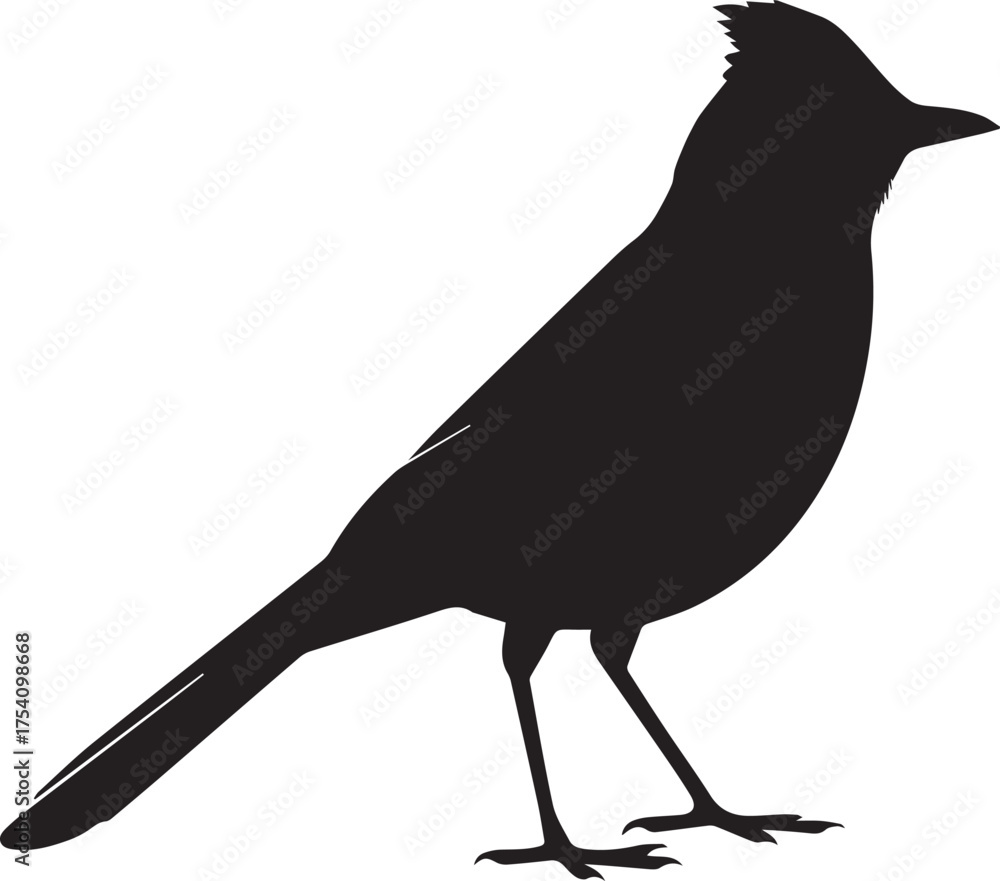 Obraz premium Black bird silhouette perched vector illustration flat design