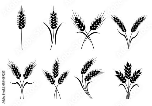 Wheat ears silhouettes set isolated on white background vector illustration