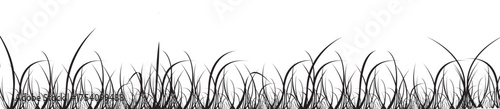 Black Grass Silhouette Border or Seamless Pattern Isolated on White