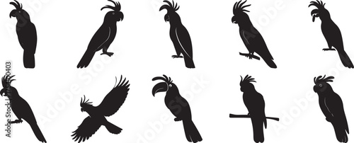 A Group of Black cockatoo bird silhouette eating vector illustration