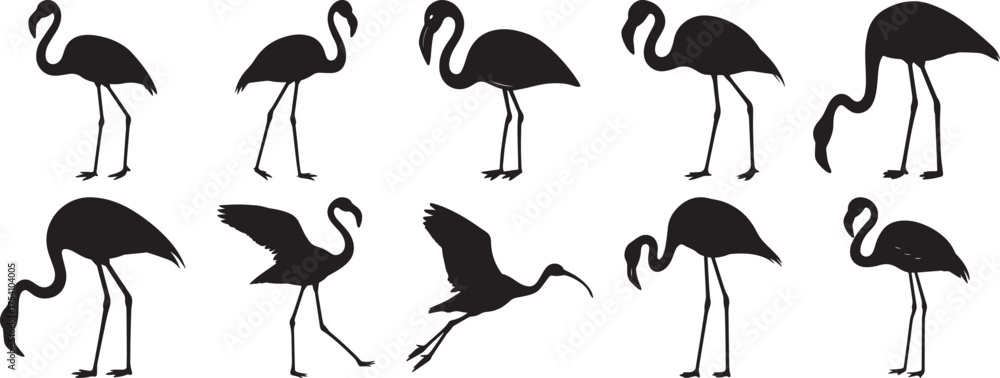 Fototapeta premium A group of Flamingo bird silhouette vector, black and white silhouette vector illustration