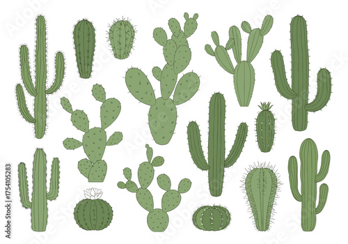 A diverse collection of various types of cacti in different shapes and sizes.