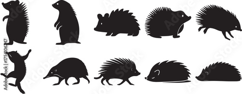 A group of Hedgehog animal silhouette vector, black and white silhouette vector illustration