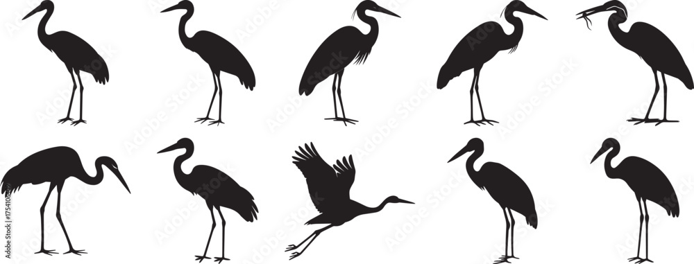 Fototapeta premium A group of Heron bird silhouette vector, black and white silhouette vector illustration