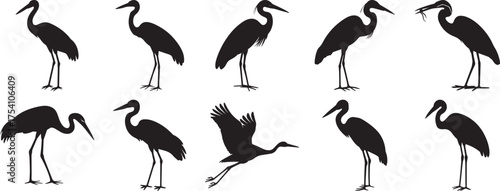 A group of Heron bird silhouette vector, black and white silhouette vector illustration