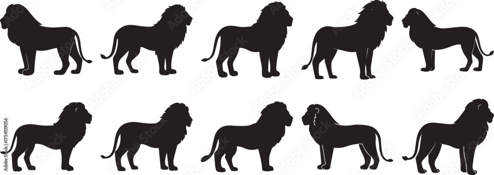 Fototapeta premium A group of Lion animal silhouette vector, black and white silhouette vector illustration