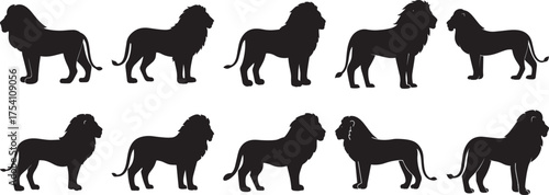 A group of Lion animal silhouette vector, black and white silhouette vector illustration