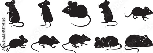 A group of Rat silhouette vector, black and white silhouette vector illustration