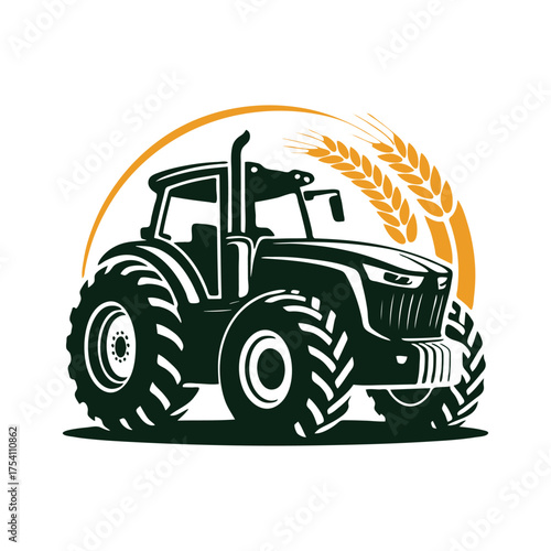  Farmers driving tractor and combine harvester to harvest wheat field. 