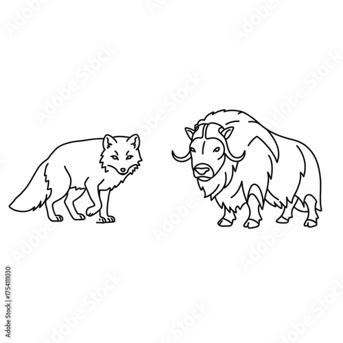 This clean black and white line drawing showcases an arctic fox alongside a formidable musk ox, depicting two iconic northern animals.