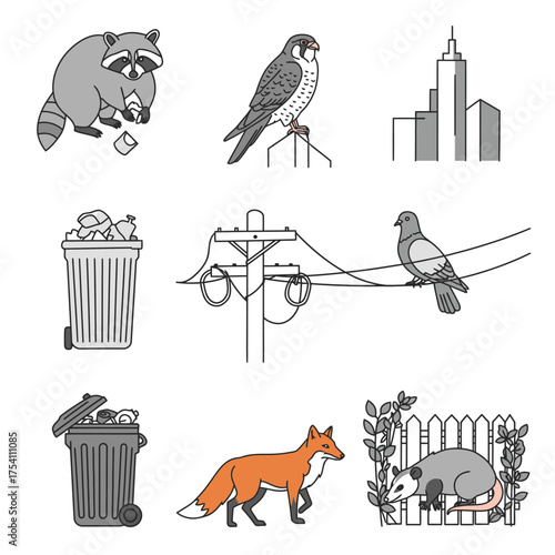 Diverse illustrations showcase urban wildlife like raccoons, falcons, foxes, and pigeons coexisting with cityscapes, power lines, and trash receptacles.