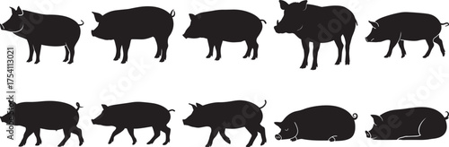 A group of  Pig silhouette vector, black and white silhouette vector illustration