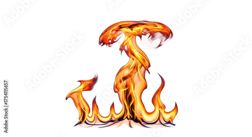 vector illustration of a fiery dragon