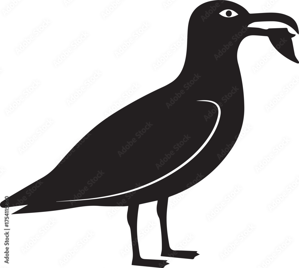 Obraz premium Seagull bird silhouette vector, black and white silhouette vector illustration